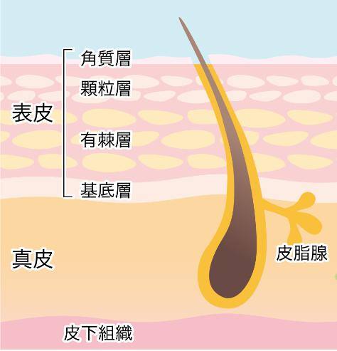 クレンジング比較