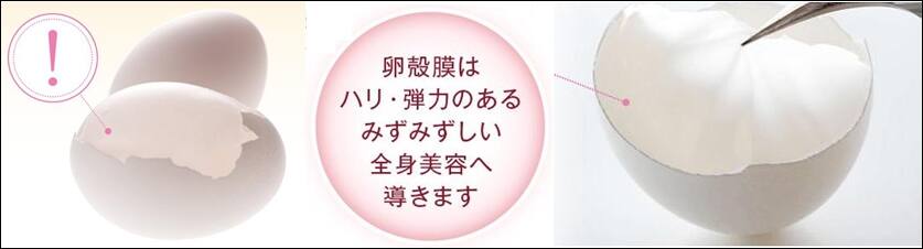 アルマード卵殻膜サプリメント